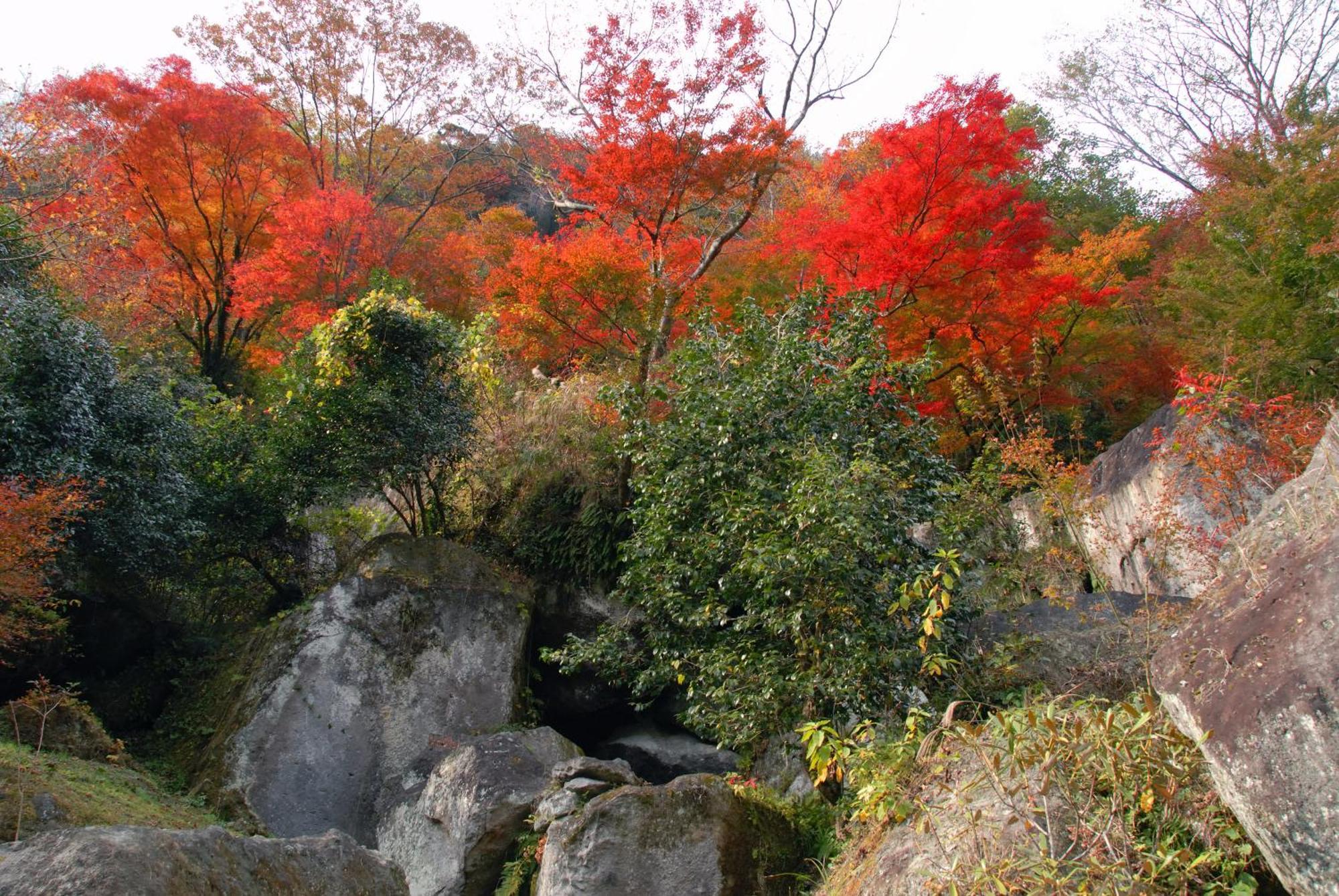 Auberge Funoki Nakatsu Exterior foto